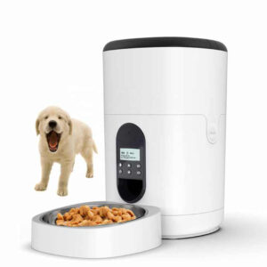 Timing Feeding 6L Smart Automatic Pet Feeder | 4 Meals Per Day | 10s Voice Recorder | Key Control for Dogs & Cats