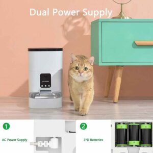 Video Version Pet Feeder